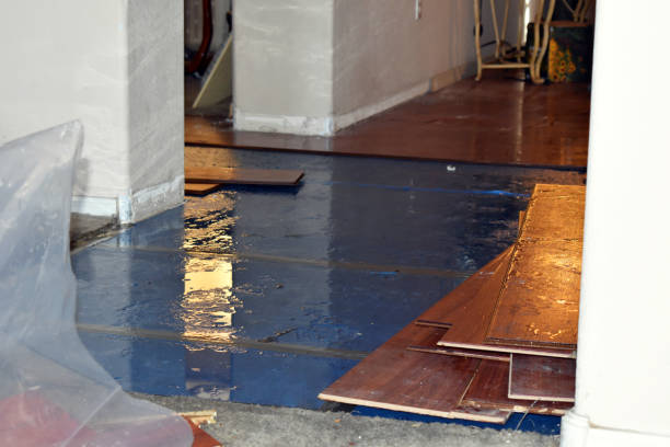 Professional Flood Damage Restoration technician working in Needham, IN